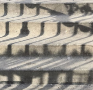 snapshots along the spectrum — toitoitoiluv